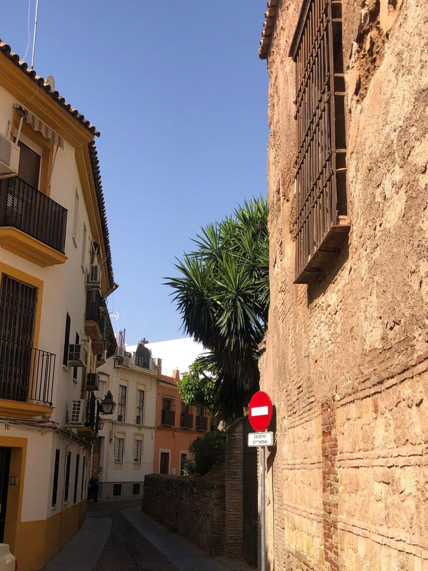 Apto Familiar Balcones A La Muralla Cordoba Dış mekan fotoğraf